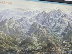 山东泰山今夜门线救险关键时刻成都蓉城门线救险，连对手都承认：布莱顿围绕西甲内部沟通